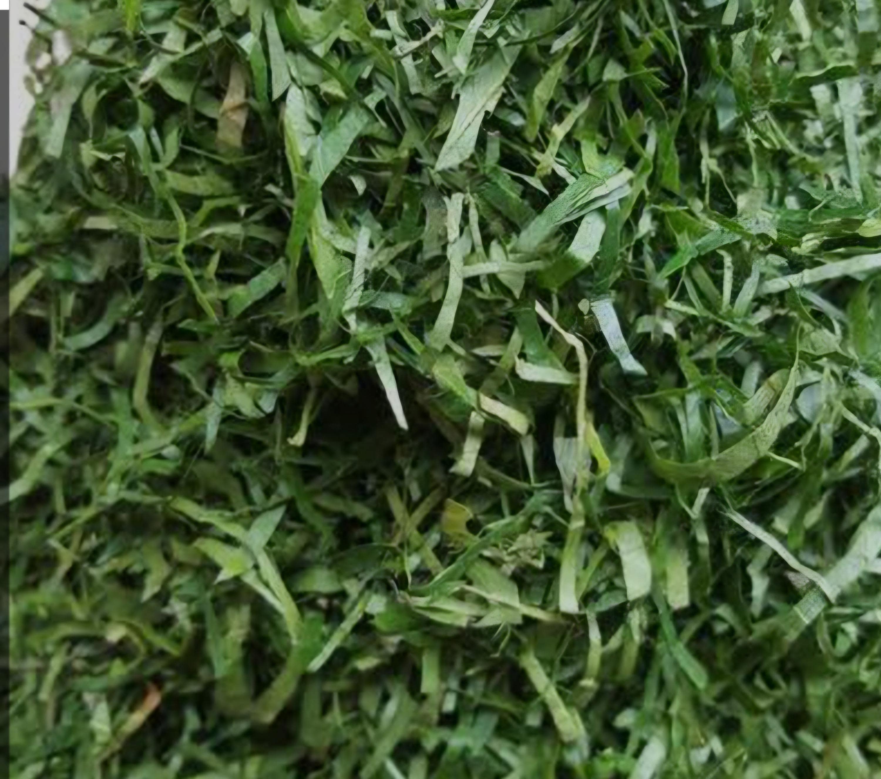 Fresh Nigerian Okazi |Eru| Afang| Ukazi| Gnetum Africanum Leaves |Premium Leaf (Naija Foodstuffs African Groceries)  delicious Okazi