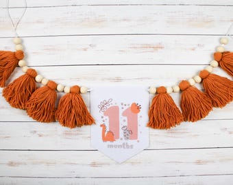 Banner personalizado para trona de primer cumpleaños: guirnalda de borlas de hilo