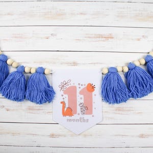 Personalized 1st Birthday Highchair Banner: Yarn Tassel Garland, Cake Smash Prop