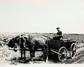 1950s Soviet Farmer Horse Cart Vintage Photo | Collective Farm Field  Snapshot | Rural Life Documentary Found Photo | Original Photograph