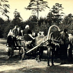 Rare old photo Rural Life People Cart Road Home Vintage Photo 1961 Snapshot History Memory Photo