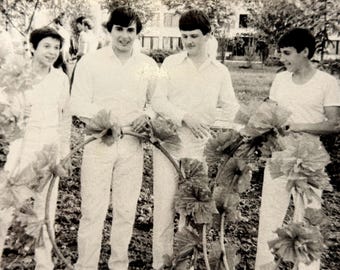 Vintage photo 1970s Handsome Young Men Students Snapshot Male friendship Original history photography