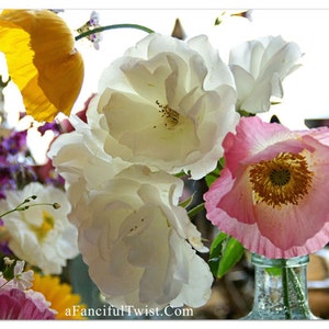 5 coquelicots et roses - Jeu de cartes postales