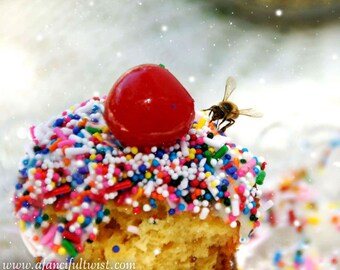 The Cupcake and the Bee