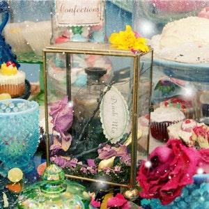 12 Wonderland Inspired Candy Jar Stickers image 4