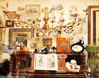 Curiosities in the Apothecary Shop - 5 Postcard Set
