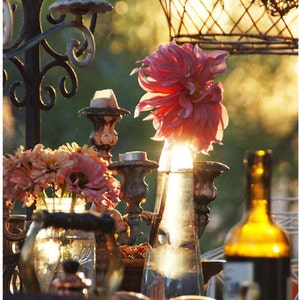 5 Lampes dorées pour jardin - Jeu de cartes postales