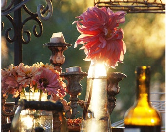5 Golden Garden Light - Postcard Set