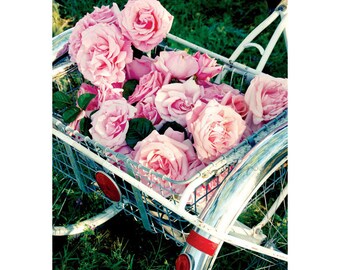 Roses - 5- Postcard Set