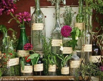 May include: A collection of clear glass bottles filled with various herbs and flowers. Each bottle has a vintage-style label with the text "Apothecary" and the name of a different herb. The bottles are arranged on a wooden shelf with a rustic background.