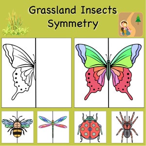 May include: A black and white outline of a butterfly with a line of symmetry down the middle. The other side of the butterfly is colored in with green, pink, and blue. Below are four more insects with lines of symmetry: a bee, a dragonfly, a ladybug, and a spider.