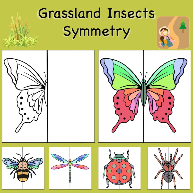 Interactive Symmetry Drawing Activity: Explore Grassland Insects ...