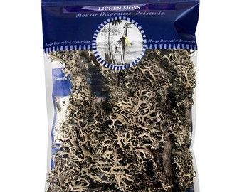 Lichen ramifié Mousse de parmelia 120 cu. dans.