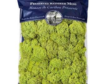 Reindeer Moss 325 cu. in.