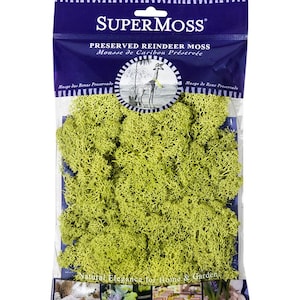 Musgo de reno, 2 oz, 120 pulgadas cúbicas. Una textura suave y esponjosa encantadora que cubre el suelo y adorna las plantas en macetas, ideal para terrarios y arte de pared.