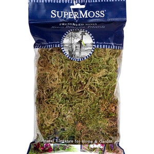 Musgo de bosque seco 2 oz, 120 pies cúbicos. pulg. Musgo preservado Ideal para cubrir el suelo y vestir plantas en macetas, terrarios, reptiles y cojines