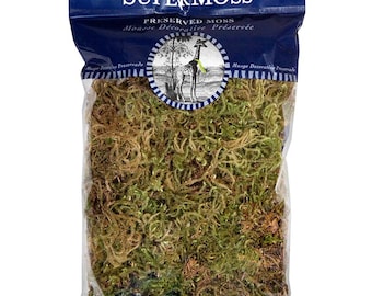 Forest Moss Dried 2oz, 120 cu. in.