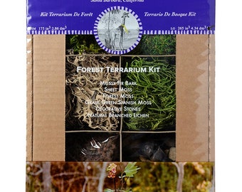 Forest Terrarium Kit 8oz.