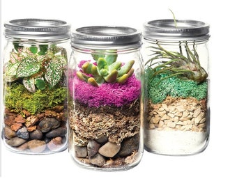 Terrarium DIY Kit Mason Jar desk top Mini Succulent Gardens Floral Craft Project preserved Mint Reindeer Moss Sphagnum White Sand Gravel