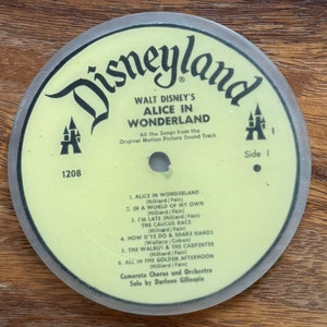 Alice in Wonderland Coaster