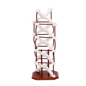 Può includere: Un espositore in legno alto, con una base rosso scuro e una struttura geometrica bianca. La struttura è composta da elementi bianchi interconnessi e corde rosso scuro, creando un design visivamente interessante. L'espositore è progettato per contenere oggetti.