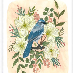 Cartão ilustrado em branco Blue Bird - Spring Scrub Jay