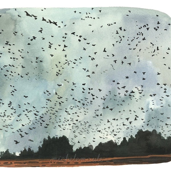 Landscape Illustration Print - Sauvie Island Geese