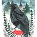 Katherina Diemer reviewed Crow with Roses 8x10 Print