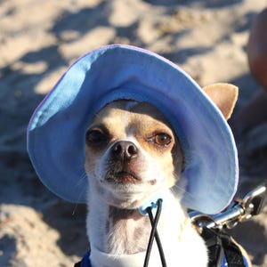 Dog Bucket Hat – Summer Hat for Dogs |  Hat for Small Medium Large Dogs | Dog  Hat | Sun Protection hat for dogs