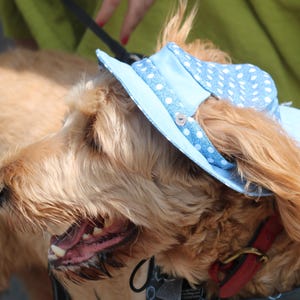 Blue Dog Bucket Hat – Summer Hat for Dogs |  Hat for Small Medium Large Dogs | Dog  Hat | Sun Protection hat for dogs