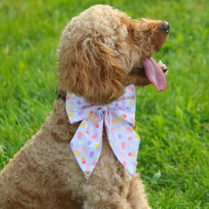 Popsicle Dog Bow tie, cat bow tie | handmade dog collar bow tie Gift for dog mom Pet gift ideas| Dog wedding collar bow tie
