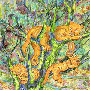 Cartão de felicitações, puma, leão da montanha, felinos, gato mãe bebê, arte moderna da vida selvagem, floresta, tintas vegetais ecológicas, feitas na Califórnia