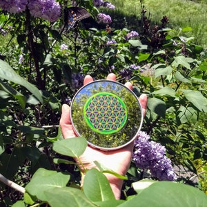 Cosmic Circle, Neon Green Flower of Life, Sun Light catcher window cling, Sacred Geometry Ancient Symbol, Visualization, made in California image 4