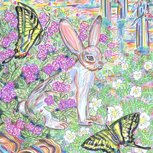 Carte de vœux, Rabbit Courage, Wild Animal Art, Swallowtail Butterfly, fabriqué en Californie, champignons, plantes indigènes locales, flore et faune