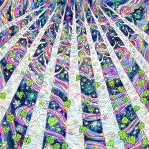 Wenskaart, berkenbomen, eco-vriendelijke kunst, duurzaam afdrukken, Aurora Borealis, Noorderlicht, Nordic Tree geneeskunde, Mystieke Bos