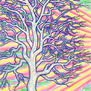Greeting Card, Palo Santo, Tree Medicine, Imagination, Healing Ritual, Endangered, Nature Art, EcoFriendly Sustainable, made in California