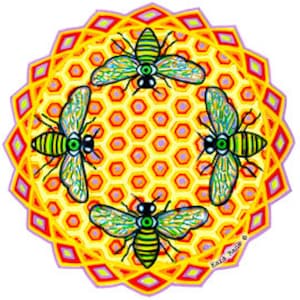 Cosmic Circle, Bees See, Sun Light catcher window cling, Honey Comb Flower, Infinitely Re-usable, Bee Art, Eco-Friendly made in California