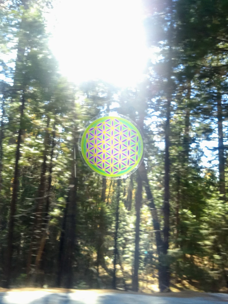Cosmic Circle, Neon Green Flower of Life, Sun Light catcher window cling, Sacred Geometry Ancient Symbol, Visualization, made in California image 7