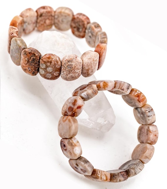 Chunky Fossil Coral Bracelet
