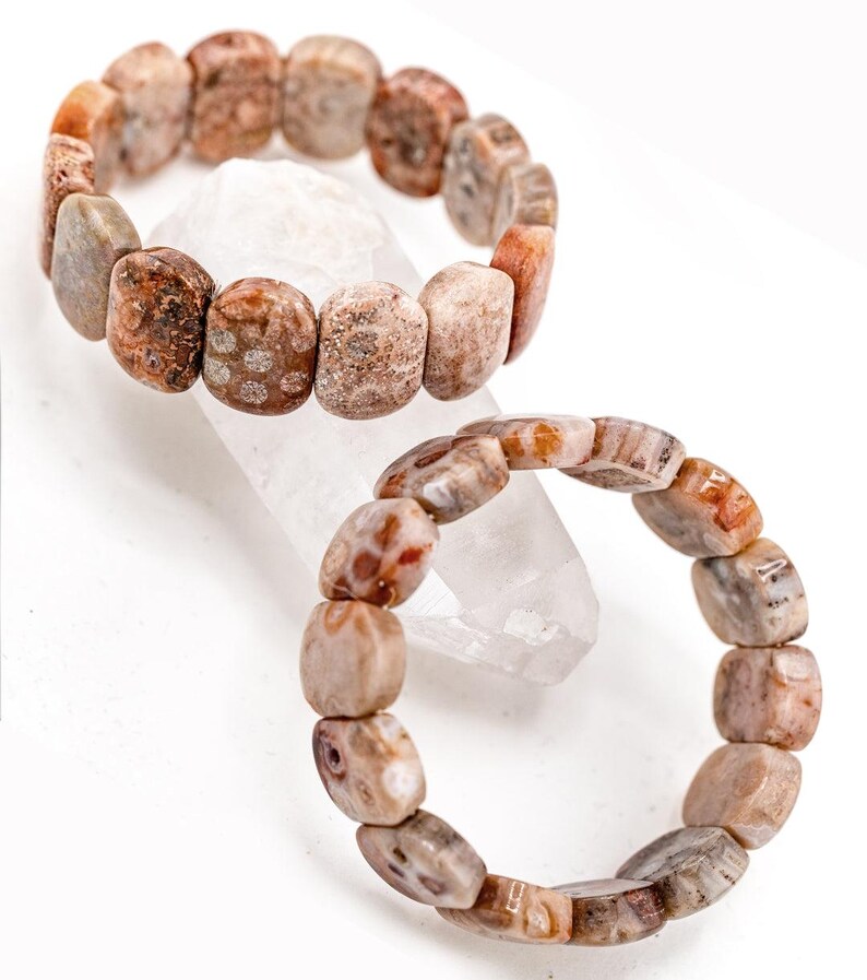 Chunky Fossil Coral Bracelet 画像 1