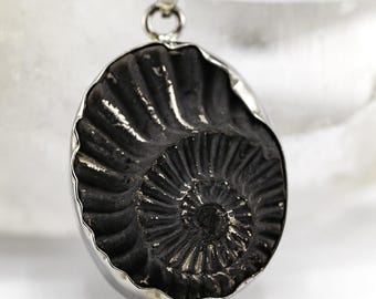 Fossil Ammonite Pyrite & 925 Silver Black Leather Cord Necklace