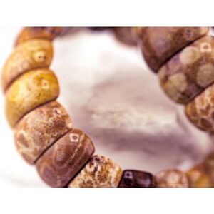 Moroccan Fossil Coral Bracelet image 2