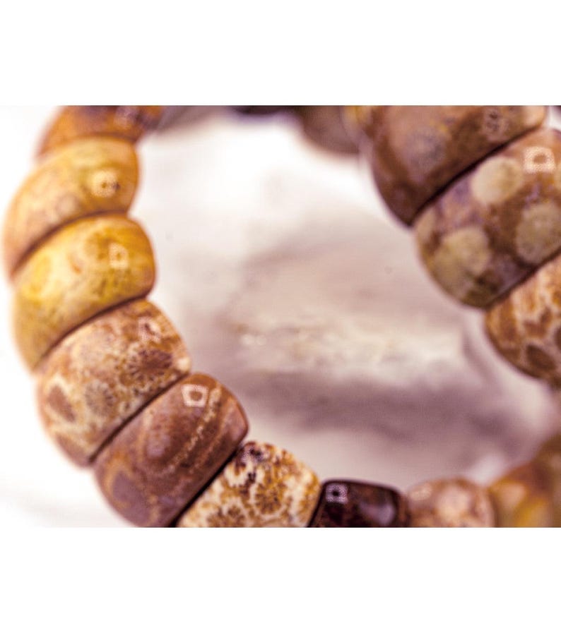 Moroccan Fossil Coral Bracelet image 2