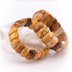 Moroccan Fossil Coral Bracelet image 1