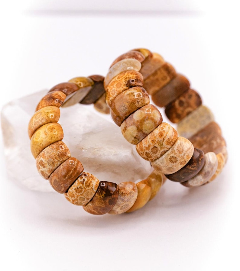 Moroccan Fossil Coral Bracelet image 1