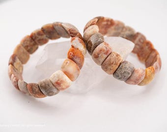 Moroccan Fossil Coral Bracelet