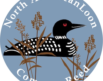North American Loon Bumper Sticker