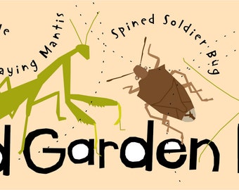 May include: Illustration of four good garden bugs: a ladybug, a praying mantis, a spined soldier bug, and a lacewing. The text "Good Garden Bugs" is written in black letters.