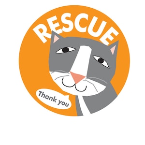 Rescue kitty bumper sticker choose black or gray cat