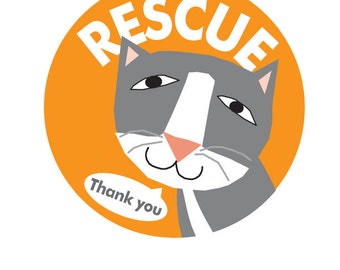 Rescue kitty bumper sticker choose black or gray cat